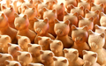 Ceramic Product One Of The Main Handicraft Production In Vinh Long